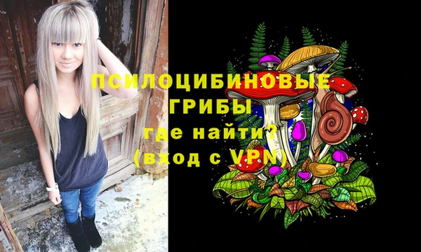 метадон Михайловск